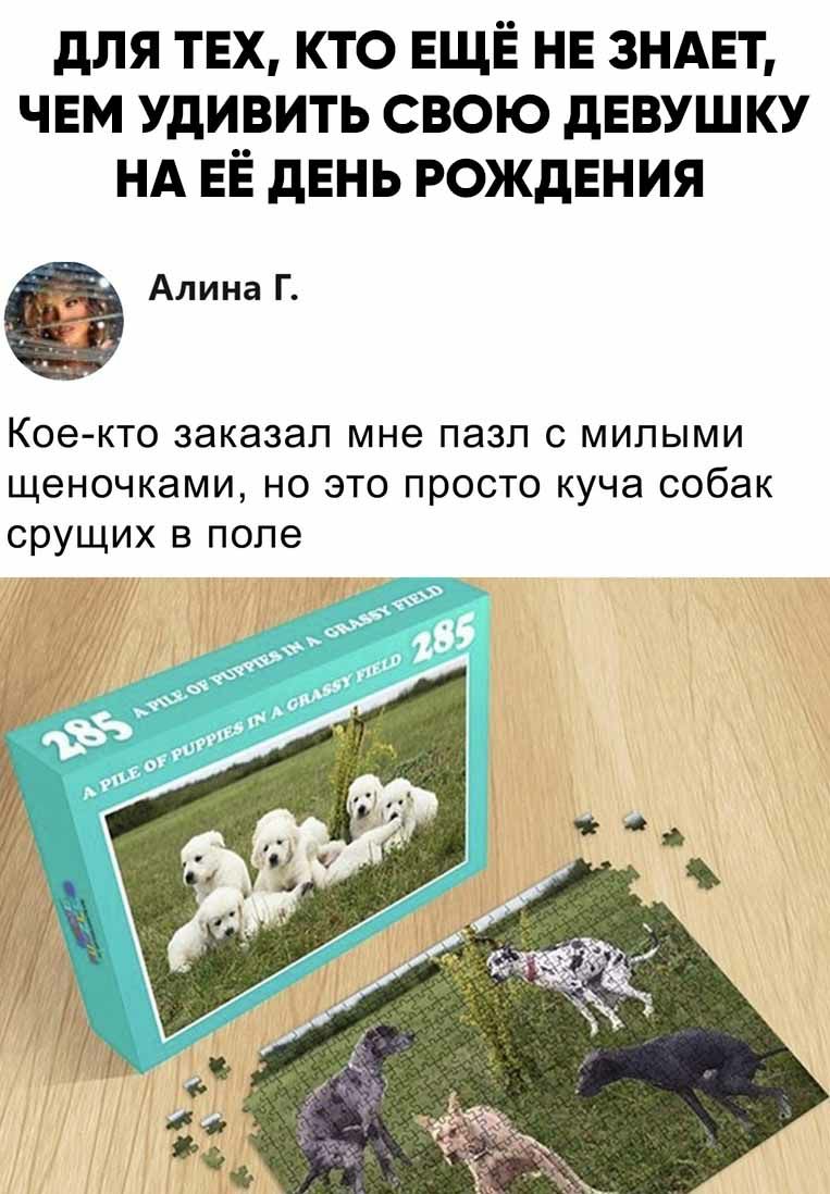дЛЯ ТЕХ КТО ЕЩЁ НЕ ЗНАЕТ ЧЕМ УДИВИТЬ СВОЮ дЕВУШКУ НА ЕЁ дЕНЬ РОЖДЕНИЯ Алина Г Кое кто заказал мне ПЭЗП С МИПЫМИ ЩЭНОЧКЭМИ НО ЭТО просто куча собак Ду