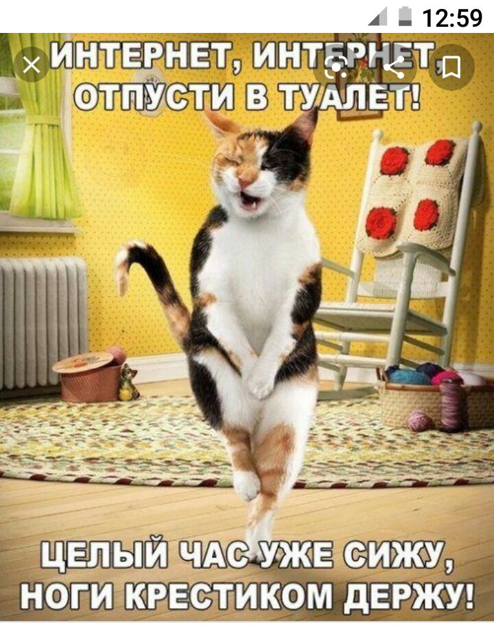 _1_2__59 ИНТЕыРНёТ ФТПУСТИ В Т_УіАЛЕТ