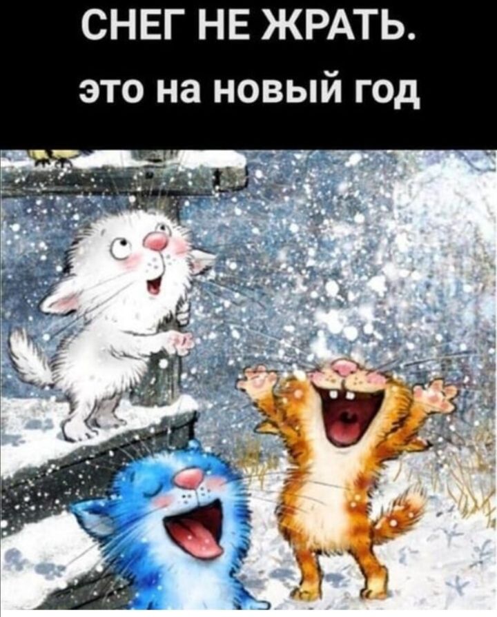 СНЕГ НЕ ЖРАТЬ д 0 Г Ь В О н а Н О Т 3