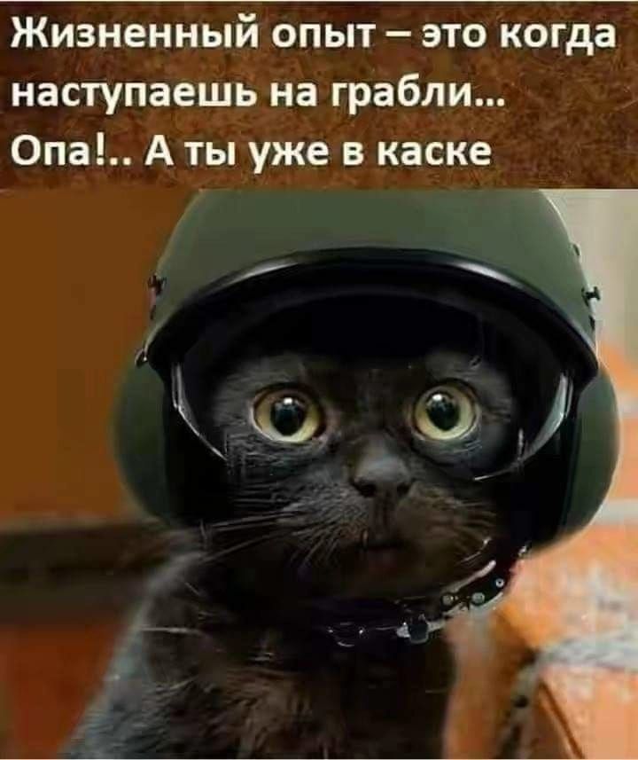 Жизненный опыт это когда наступаешь на грабли Опа А ты уже в каске