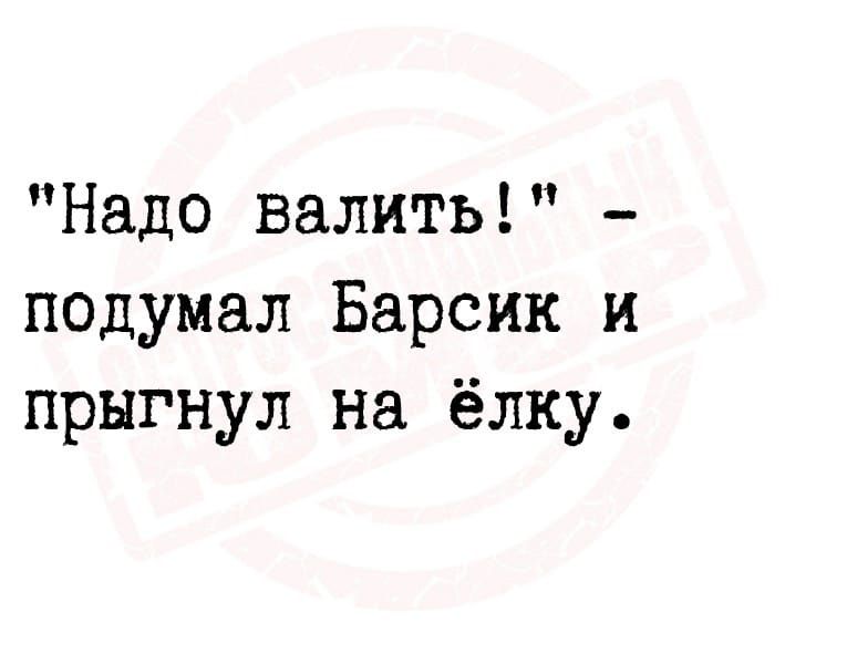 Надо валить подумал Барсик и прыгнул на ёлку