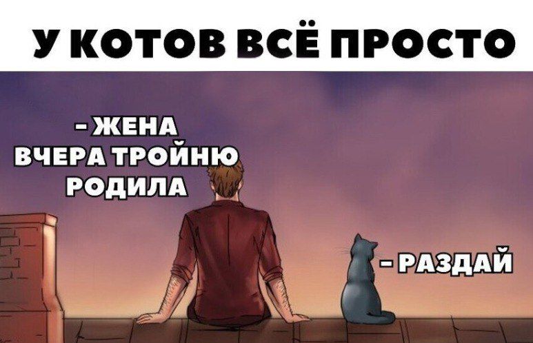 У котов всё просто ЖЕНА_ ВЧЕРА ТРОИНЮ РОДИНА мзддй _41 Ь__