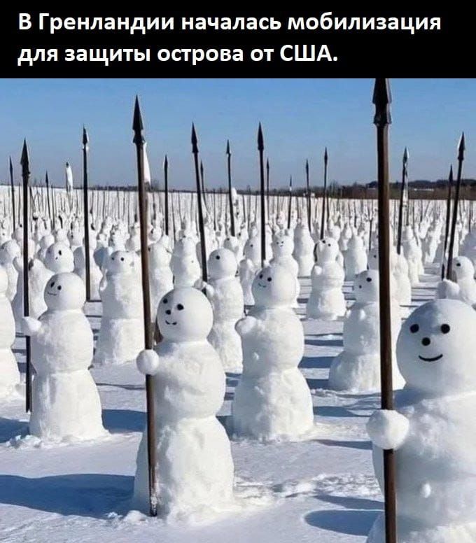 В Гренландии началась мобилизация для защиты острова от США