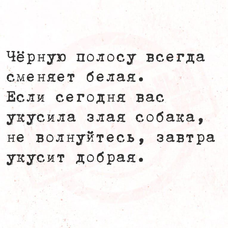 Чёрную полосу всегда сменяет белая Ёсли сегодня вас укусила злая собака не волнуйтесь завтра укусит добрая