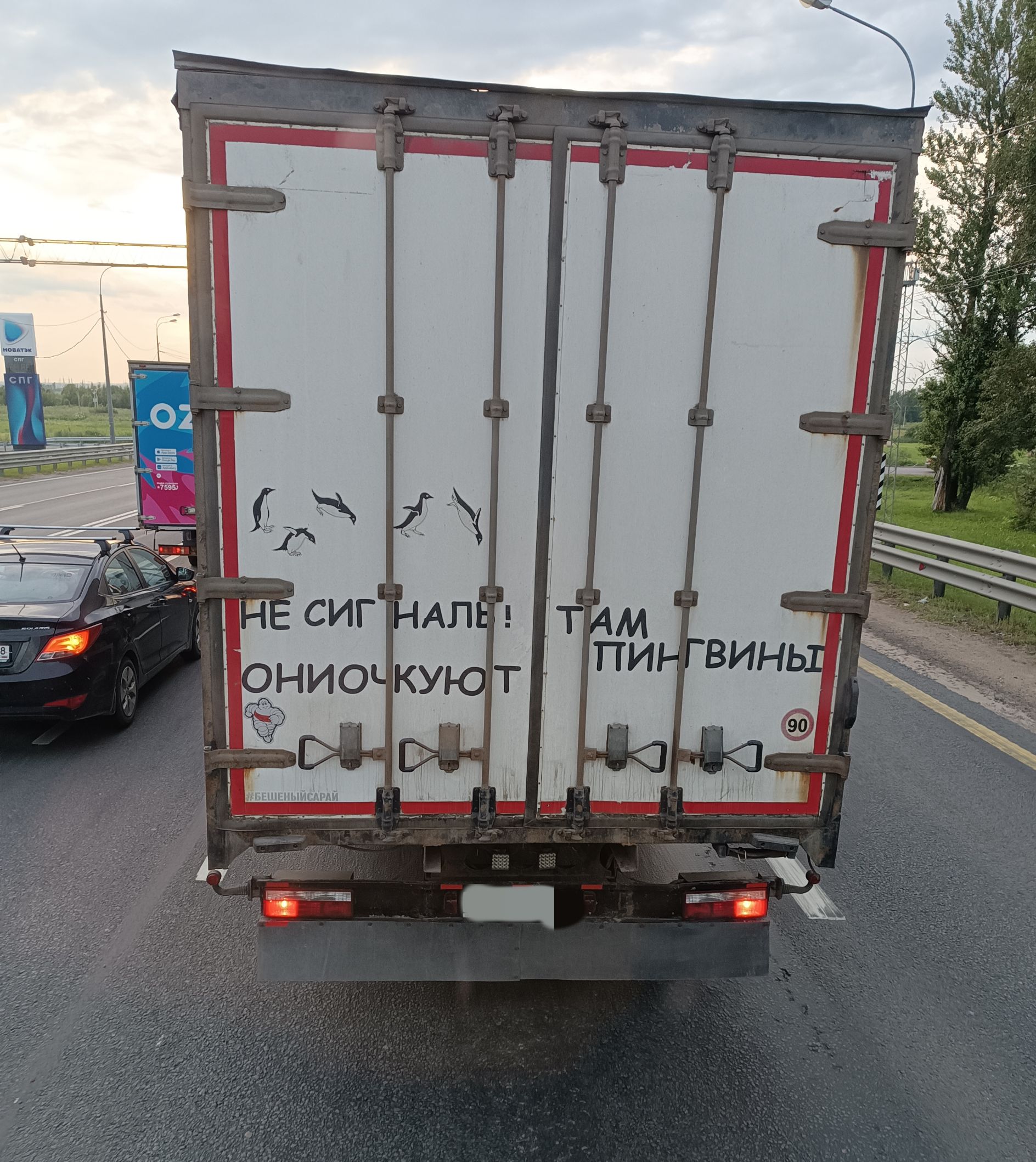 НЕ СИГНАЛИ ТАМ ПИНГВИНЫ