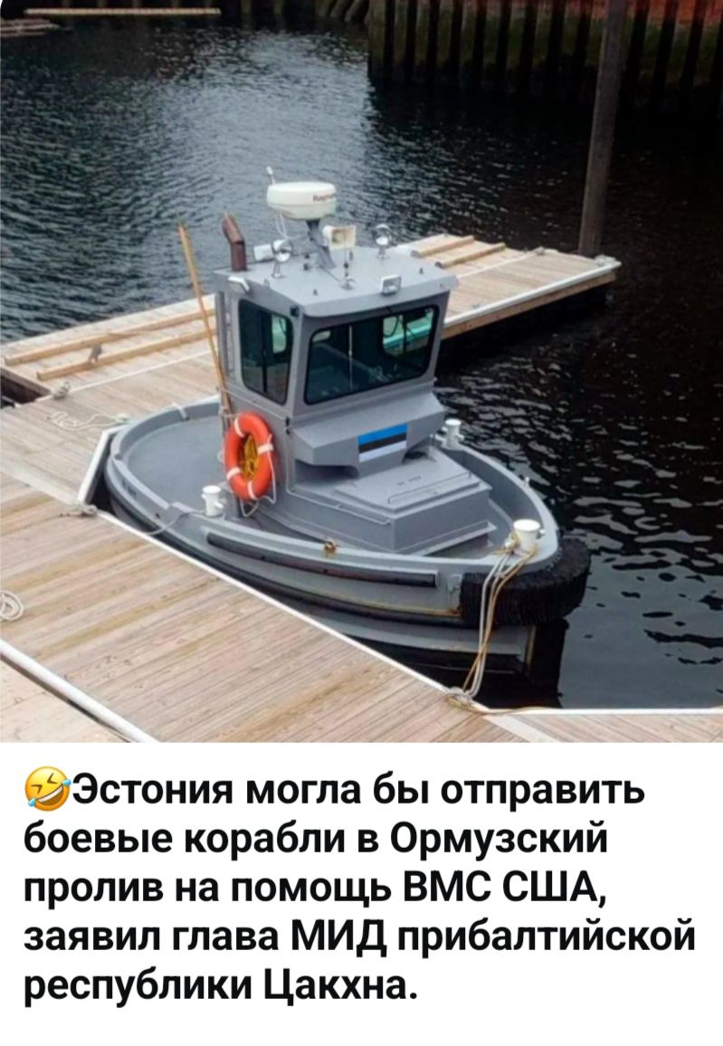 Эстония могла бы отправить боевые корабли в Ормузский пролив на помощь ВМС США, заявил глава МИД прибалтийской республики Цакхна.