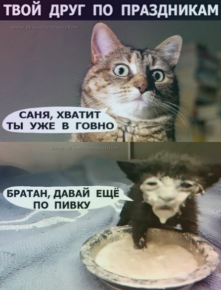 ТВОЙ дРУГ ПО ПРАЗДНИКАМ 3 сдня хвдтит ты УЖЕ в говно БРАТАН дАВАЙ ЕЩЁ