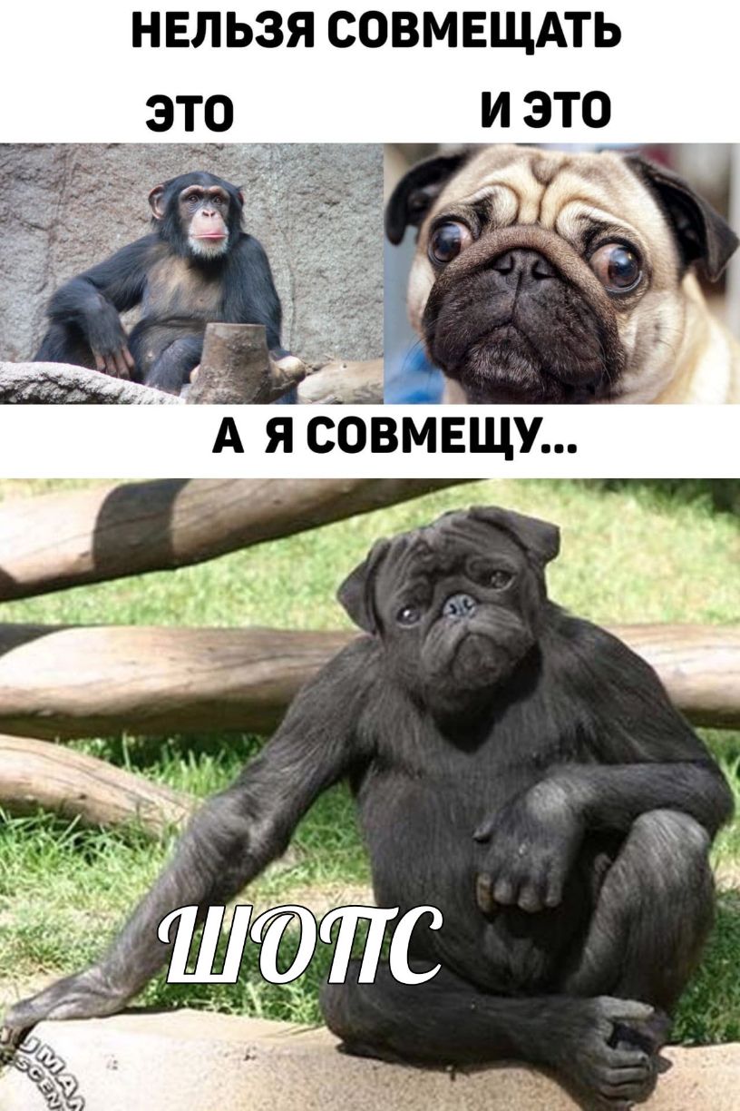 НЕЛЬЗЯ СОВМЕЩАТЬ