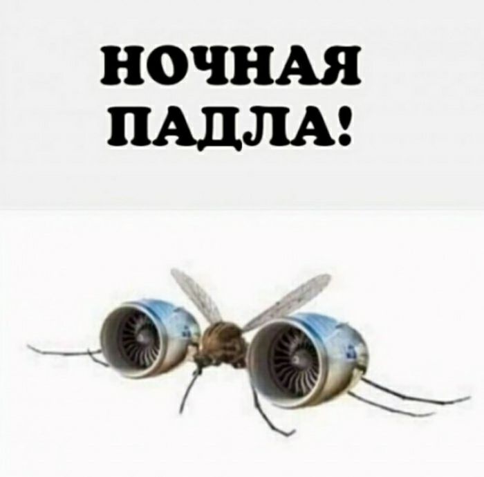 НОЧНАЯ ПАДЛА