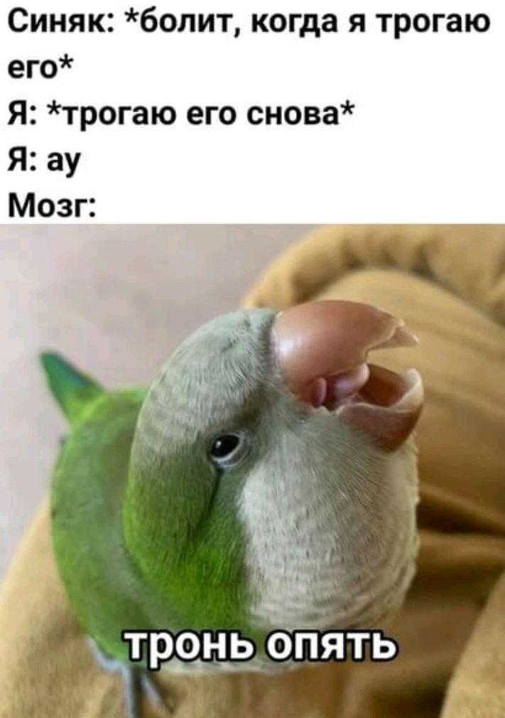 Синяк болит когда я трогаю его Я трогаю его снова Я ау Мозг
