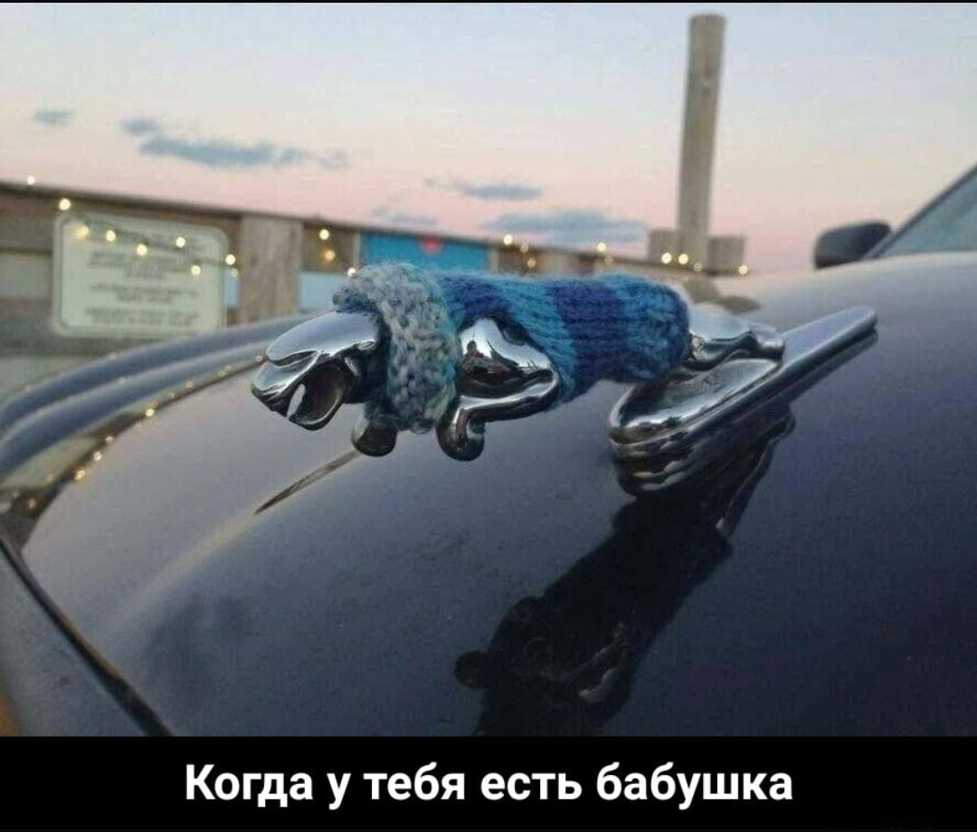 Когда у тебя есть бабушка