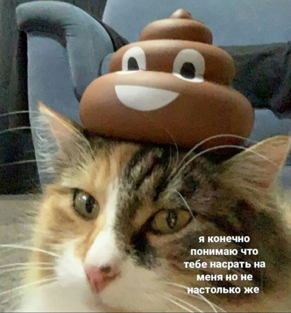 я конечно понимаю что тебе насрать на Меня но не только же