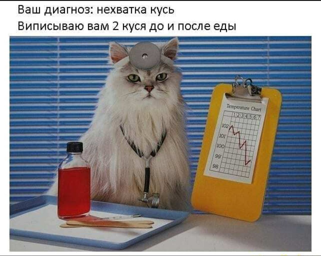 Ваш диагноз нехватка кусь Виписываю вам 2 куся до и после еды