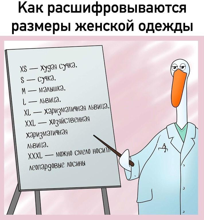 Ка разк расшифровываются меры женской одежды ХЗ худая сучка сучка М маАышкз Ъ АЬВИЦЭ ХЪ харизматичнщ АЬВИЦЗ ХХЬ _ хпЗчИСхвеннач харизматичная ьвицъ ХХХЪ __ мпжио носи АСОПЭрЭПВвВ КОСИНН