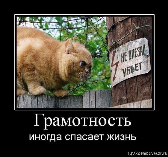 Грамотность иногда СПЭСЭЭТ ЖИЗНЬ ЬшЕаетоахашгш