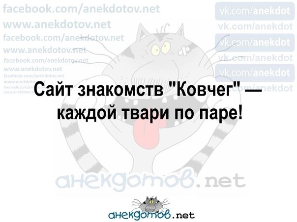 Сайт знакомств Ковчег каждой твари по паре анекфЖЗб пет