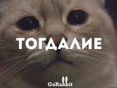 ТО ГАААИ Е Бонд
