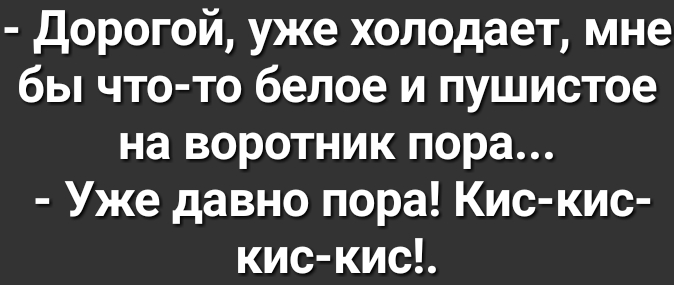 дорогой уже холодает мне бы что то белое и пушистое на воротник пора Уже давно пора Кис кис кис кис