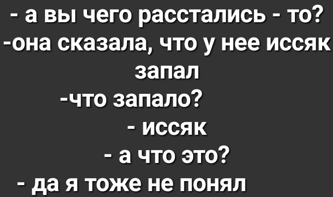 а вы чего расстались то она сказала что у нее иссяк запал что запало иссяк а что это да я тоже не понял