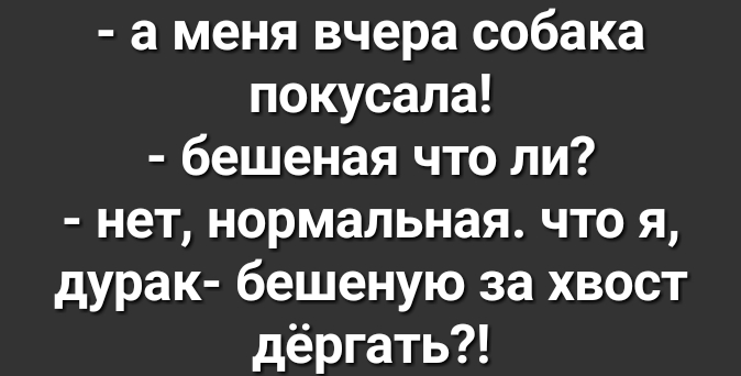 а меня вчера собака покусала бешеная что ли нет нормальная что я дурак бешеную за хвост дёргать