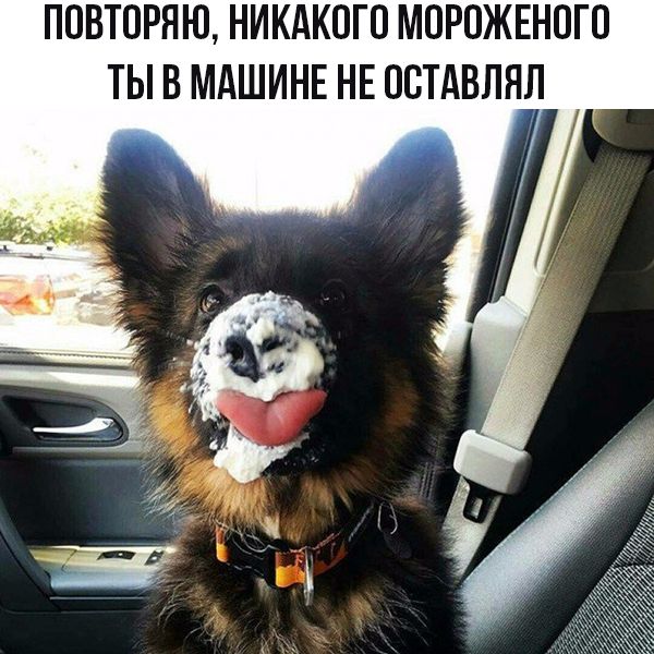 ППВТПРЯЮ НИКАКОГО МПРПЖЕНПГП ТЫ В МАШИНЕ НЕ ОСТАВЛЯЛ
