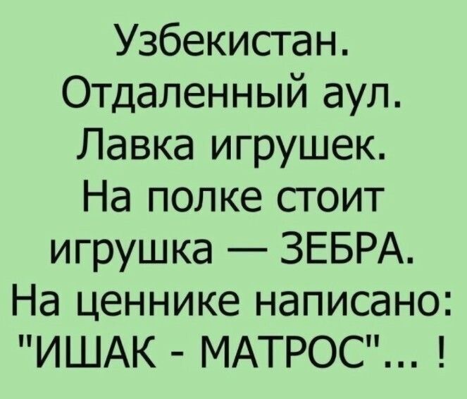 Узбекистан Отдаленный аул Лавка игрушек На полке стоит игрушка ЗЕБРА На ценнике написано ИШАК МАТРОС