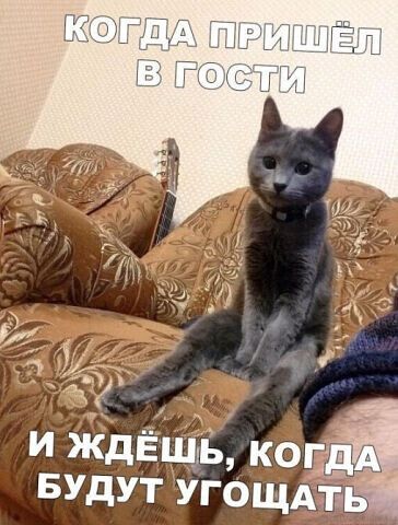 и 115 _ к И ЖдЁщь когда БУДУТ УГОЩАТ