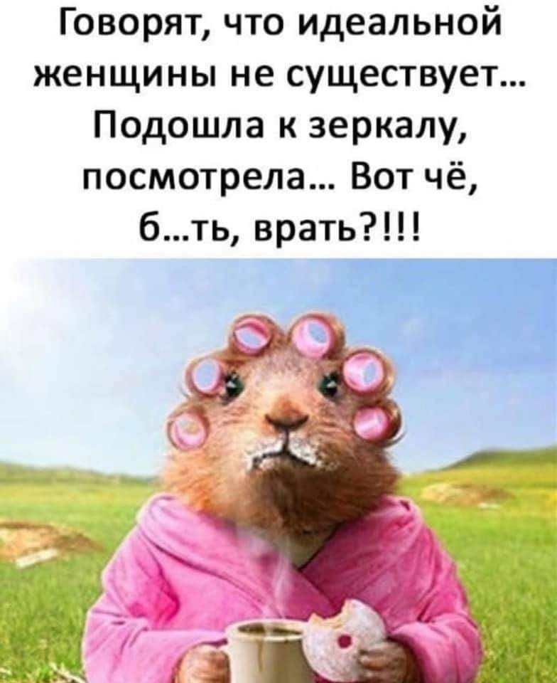 Говорят что идеальной женщины не существует Подошла к зеркалу посмотрела Вот чё бть врать