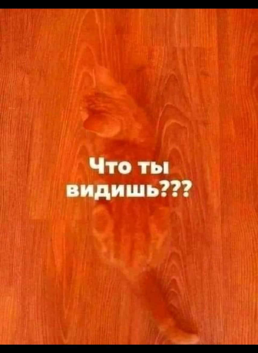 Чтв ты видишь