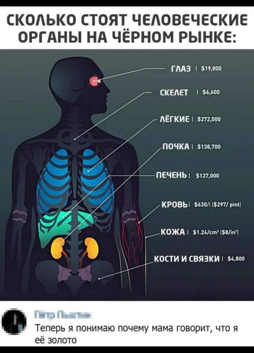 СКОЬКО СТ0Я1__ЧЕОВЕЧЕСКИЕ ОРГАНЫ НА ЧЕРНОМ РЫНКЕ ГМЗ 519500 СКЕАЕТ 56600 АЁГКИЕ эт поо ПОЧКА язв 7оо ПЕЧЕНЬ 937000 КРОВЬ 630Л297ірт1 О КЖ К0ЖА эмичэввпч д кости и связкш 54500 Теперь я понимаю почему мама говорит что я её золото