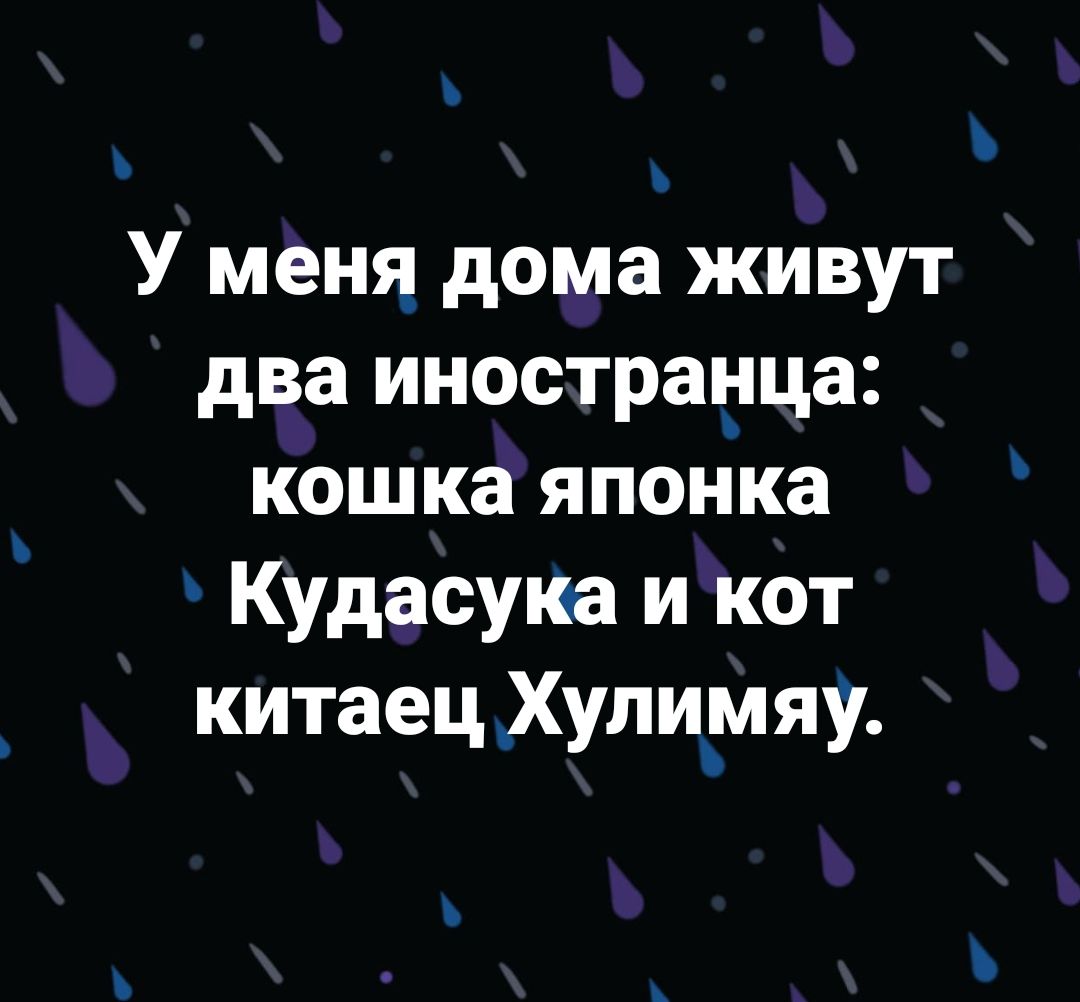 У меня дома живут два иностранца кошка японка Кудасуша и кот китаец _Хулимяу