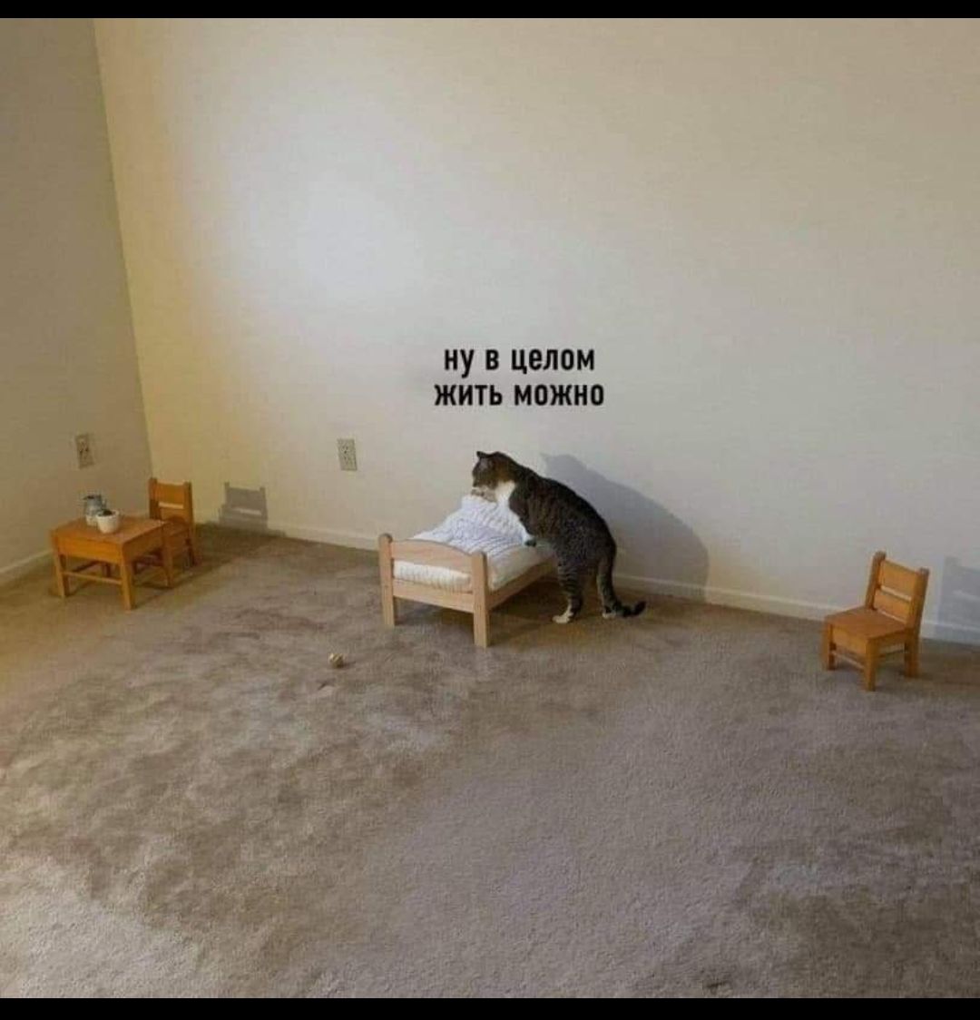 ну в целом жить можно