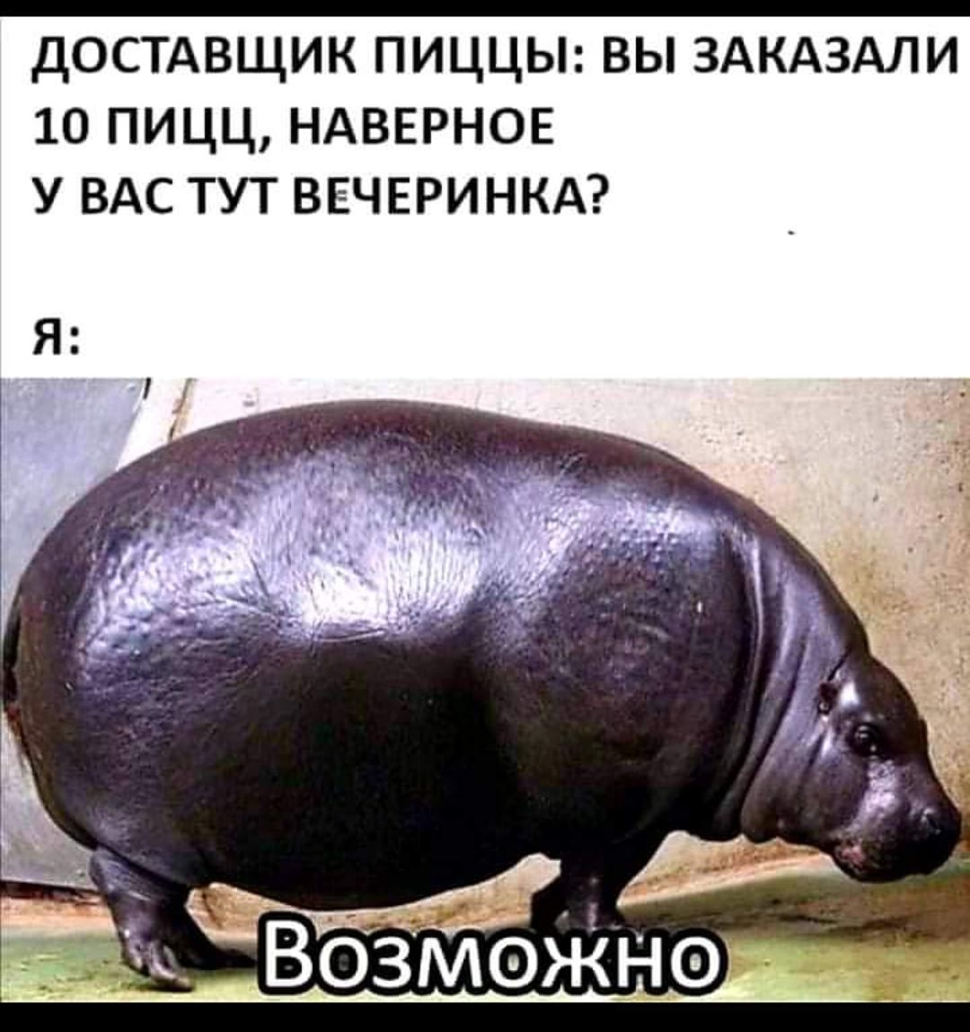 достдвщик пиццьп вы здкдздли 10 пицц НАВЕРНОЕ у ВАС тут ВЕЧЕРИНКА
