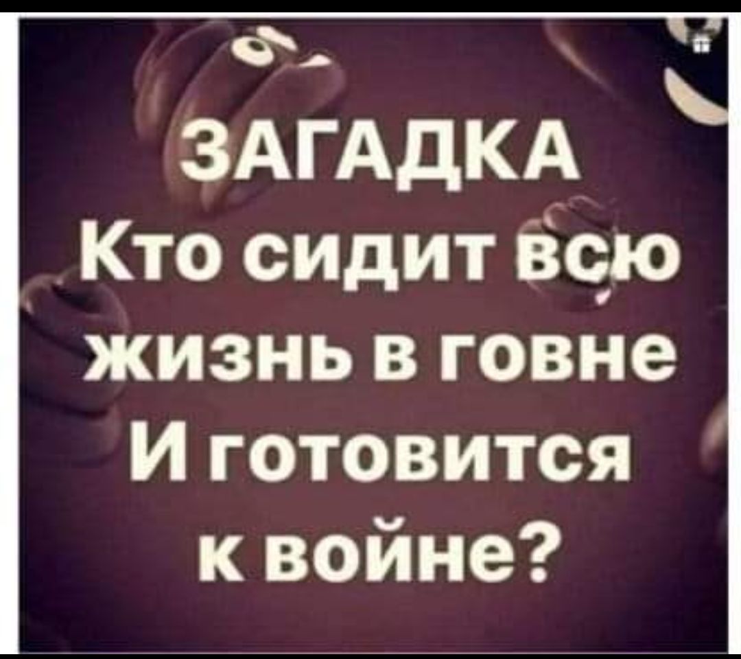 Ф ЗАГАДКА Кто сидит бою жизнь в говне И готовится к войне