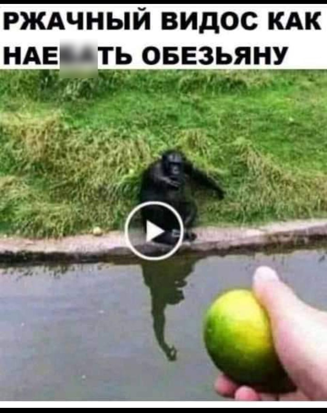 рждчный видос кдк нАЕмть рвцзьяну ттт