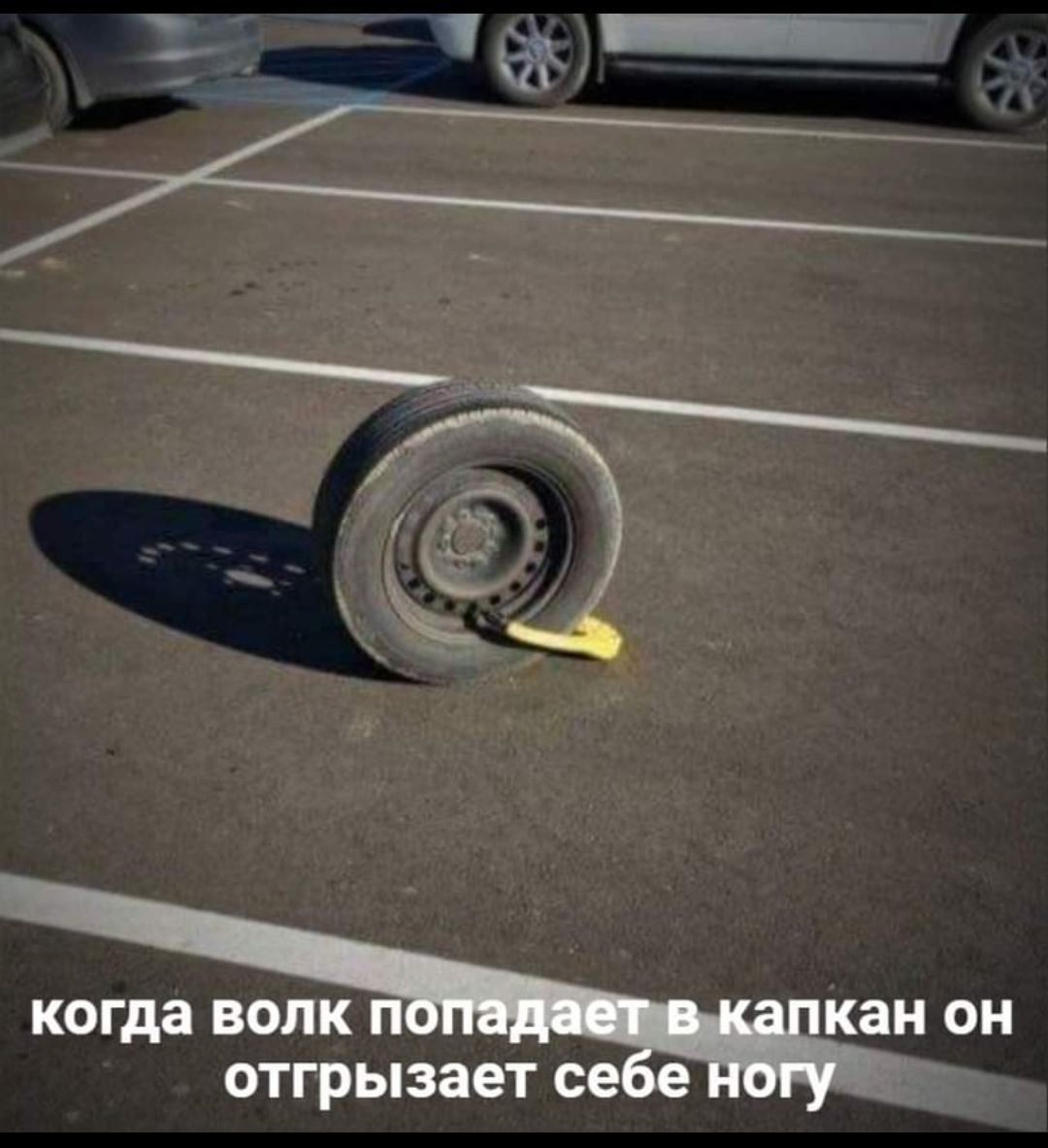 Й  е когда волк п' кан он отгрызает се 3