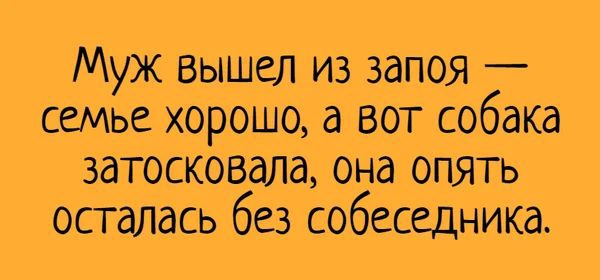 Муж вышел из запоя Семье хорошо а вот собака затосковала она опять осталась без собеседника