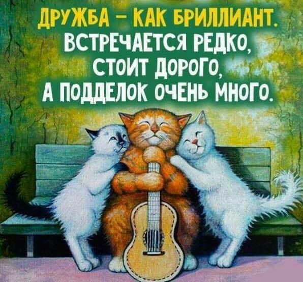ВСТРЕЧАЕТСЯ редкоьдг СТОИТ дорогами ИЩЕМ очннь мною