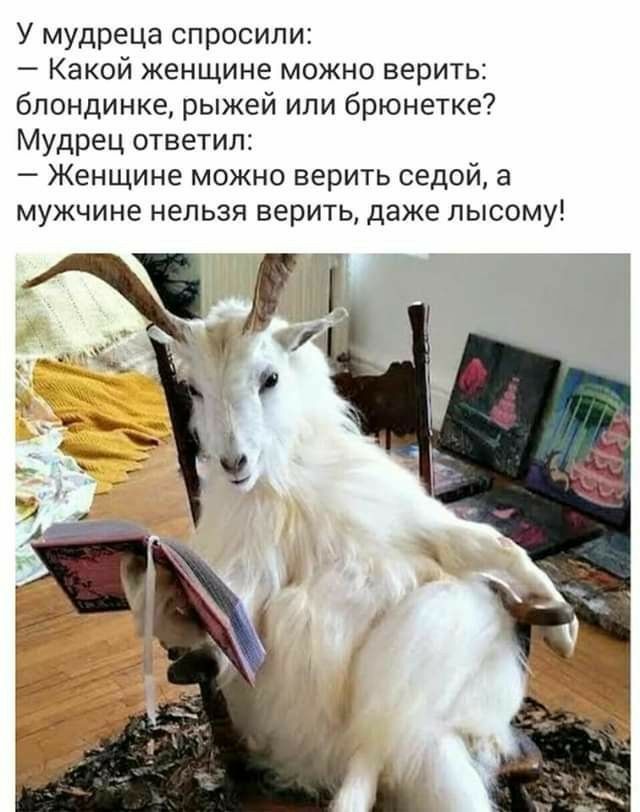 У мудреца спросили Какой женщине можно верить блондинке рыжей или брюнетке Мудрец ответил Женщине можно верить седой а мужчине нельзя верить даже лысому
