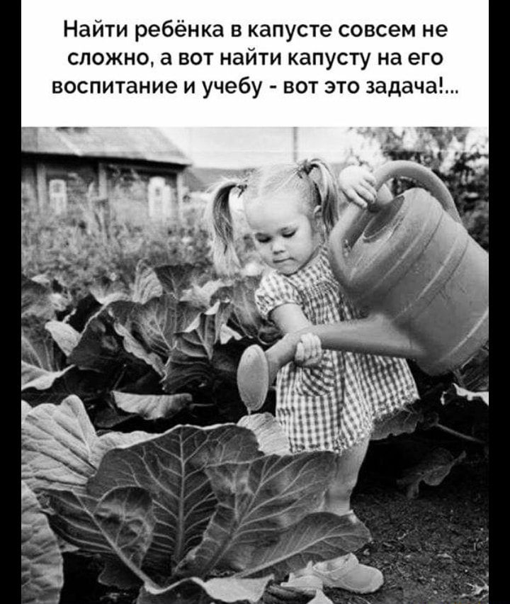 Найти ребёнка в капусте совсем не сложно а вот найти капусту на его воспитание и учебу вот это задача