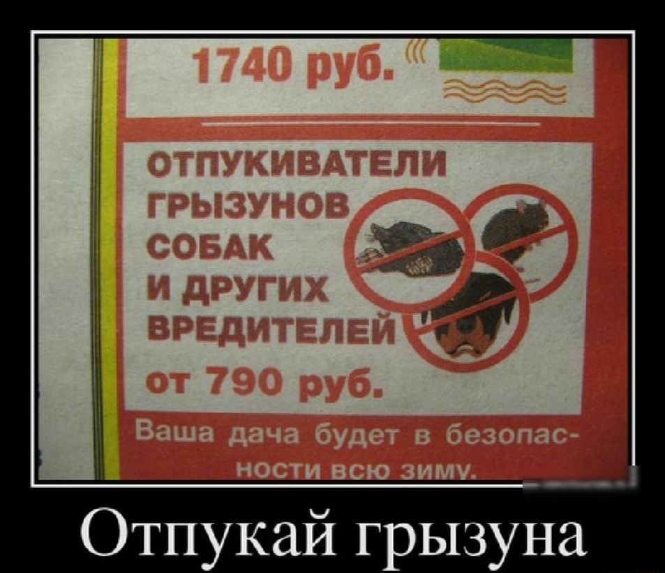 Отпукай грызуна