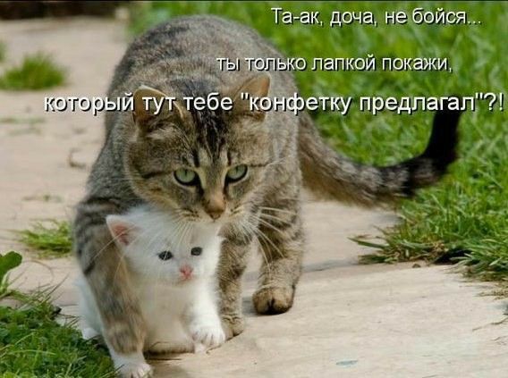 Та ак доча неубойся