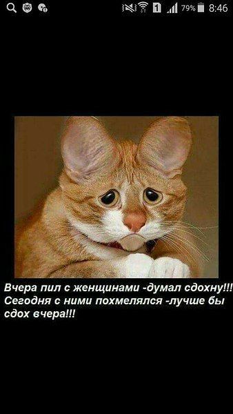 Ч съ в и ші 846 Вчера пил женщинами думап сдохну Сегодня с ними похмелялся лучшв бы сдох вчера