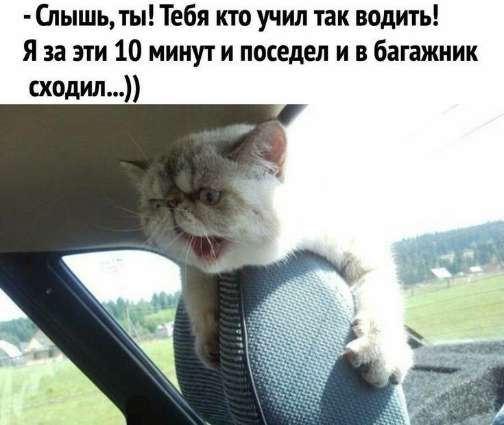 Глышь ты Тебя кто учил так водить Я за эти 10 минут и поседел и в багажник сходил