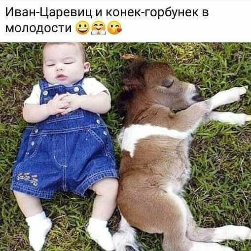 Иван Царевиц и конек горбунек в