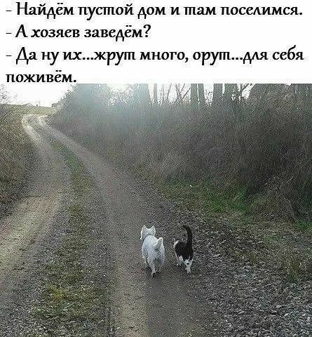 йдем пустой дом и там поседимся А хозяев заведём да ну ИХжрут много орутдля себя паживём