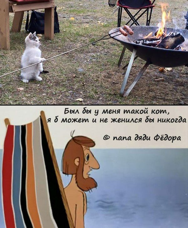 Был бы у меня такои кот я б можем и не женился бы никогда папа дяди Фёдора