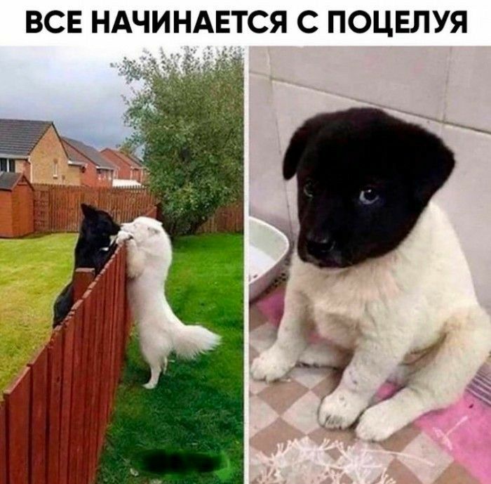 ВСЕ НАЧИНАЕТСЯ С ПОЦЕЛУЯ