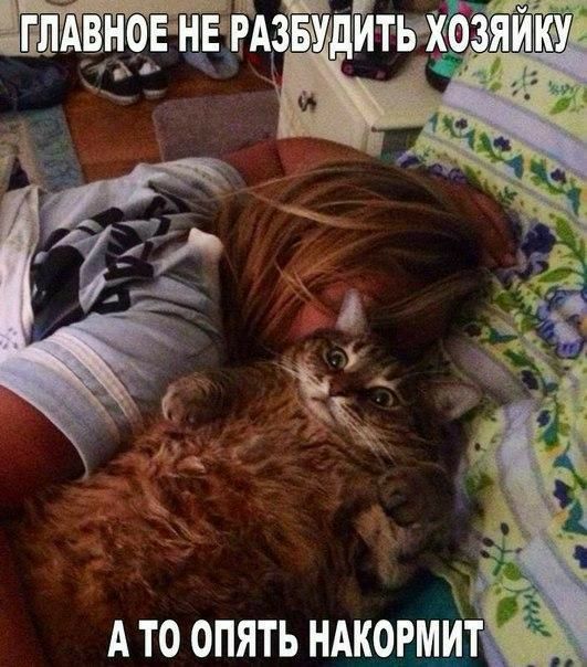 пгщаём А то опять ндкормьіт