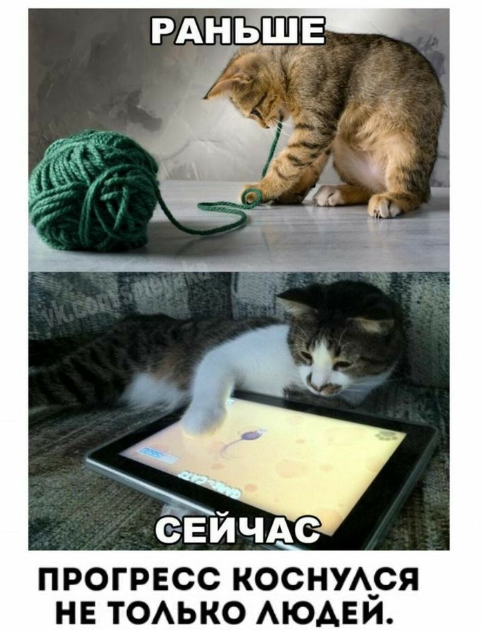 ПРОГРЕСС КОСНУА_СЯ НЕ ТОАЬКО АЮАЕИ